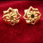 GPS EARRING